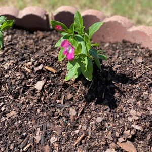 Meet your Posher, Jeane